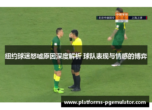 纽约球迷怒嘘原因深度解析 球队表现与情感的博弈