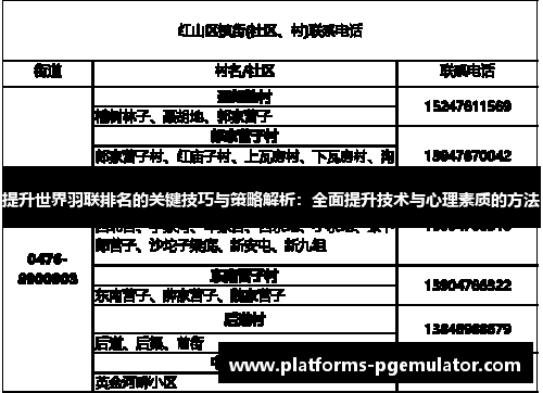 提升世界羽联排名的关键技巧与策略解析：全面提升技术与心理素质的方法