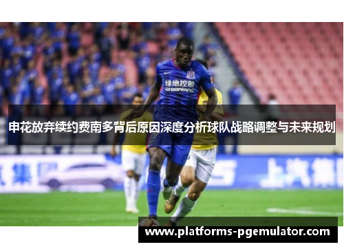 申花放弃续约费南多背后原因深度分析球队战略调整与未来规划