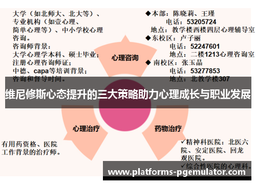维尼修斯心态提升的三大策略助力心理成长与职业发展