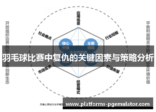 羽毛球比赛中复仇的关键因素与策略分析