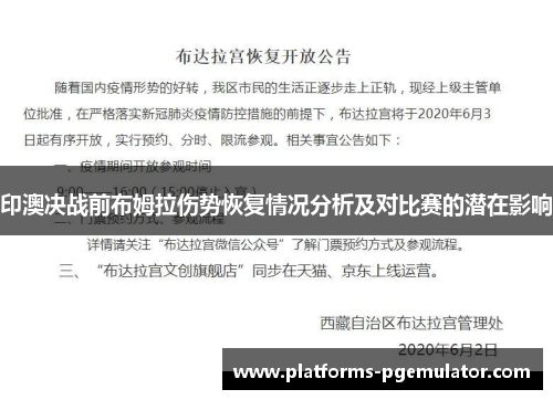 印澳决战前布姆拉伤势恢复情况分析及对比赛的潜在影响