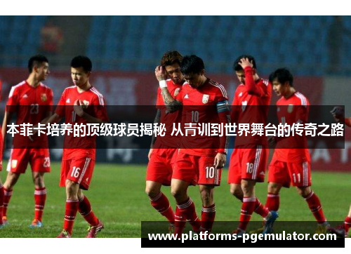本菲卡培养的顶级球员揭秘 从青训到世界舞台的传奇之路