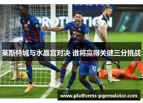 莱斯特城与水晶宫对决 谁将赢得关键三分挑战