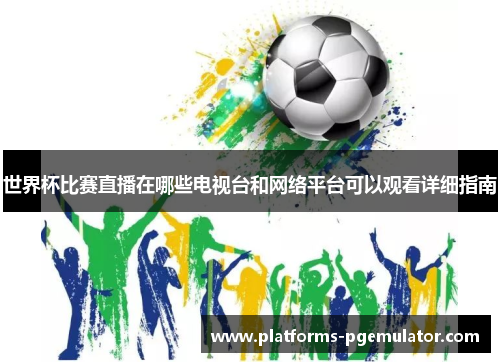 世界杯比赛直播在哪些电视台和网络平台可以观看详细指南