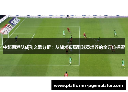 中超海港队成功之路分析：从战术布局到球员培养的全方位探索