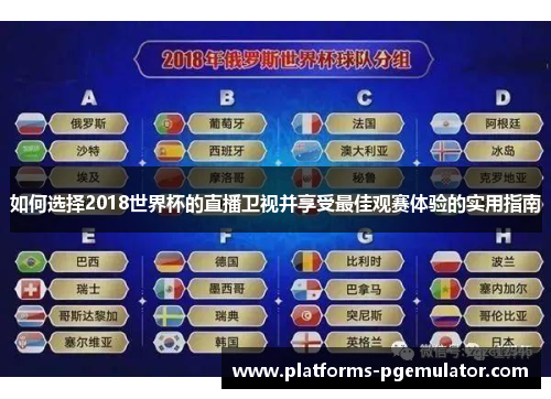 如何选择2018世界杯的直播卫视并享受最佳观赛体验的实用指南