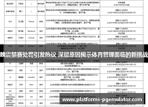 魏震禁赛处罚引发热议 深层原因揭示体育管理面临的新挑战