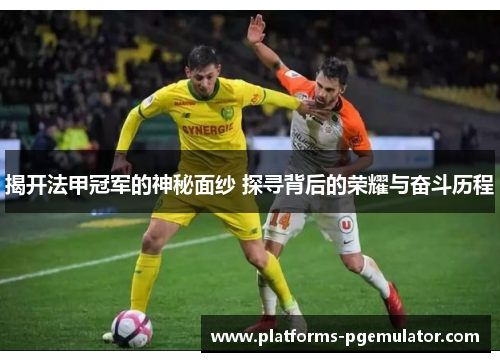 揭开法甲冠军的神秘面纱 探寻背后的荣耀与奋斗历程