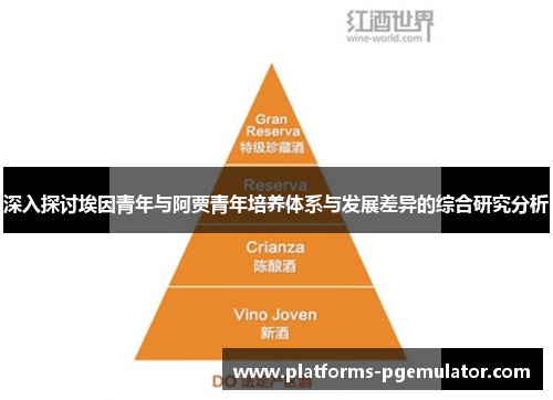 深入探讨埃因青年与阿贾青年培养体系与发展差异的综合研究分析 深入探讨埃因青年与阿贾青年培养体系与发展差异的综合研究分析