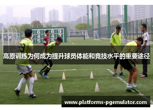 高原训练为何成为提升球员体能和竞技水平的重要途径