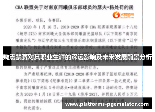 魏震禁赛对其职业生涯的深远影响及未来发展前景分析