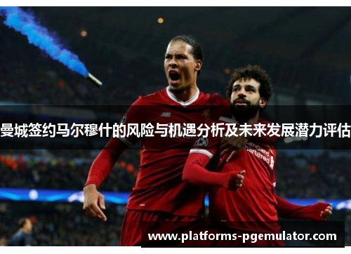 曼城签约马尔穆什的风险与机遇分析及未来发展潜力评估