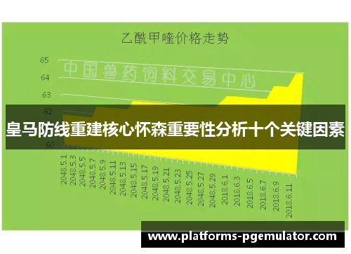 皇马防线重建核心怀森重要性分析十个关键因素
