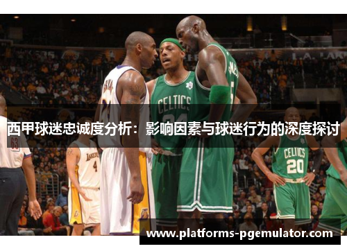 西甲球迷忠诚度分析：影响因素与球迷行为的深度探讨